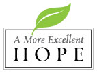 A More Excellent Hope Conf Logo