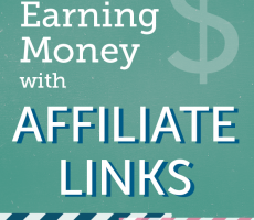 Make $$$ with Affiliate Link or Wholesale Acct