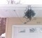 The Christmas Lights Are Up