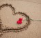 Valentine’s & Other Gift Ideas