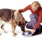 MIS #059–Hungry Dog Syndrome, Part 2
